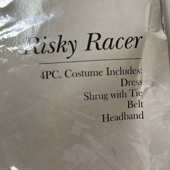 Risky Racer Costume - Picture 5 of 7